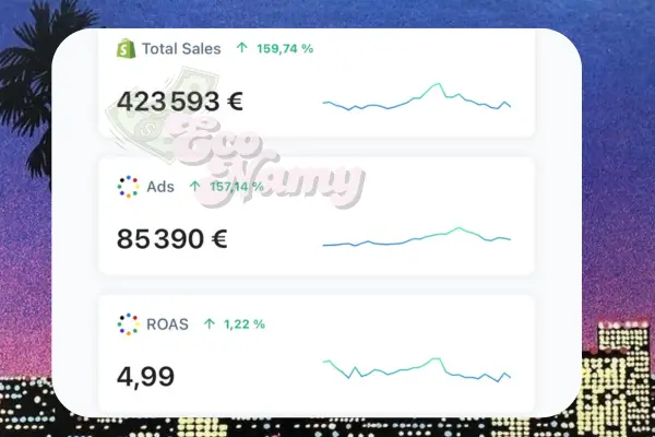 Capture de tableau de bord e-commerce 6 sur 7